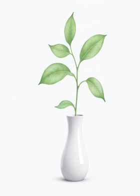 Green Plant in White Vase