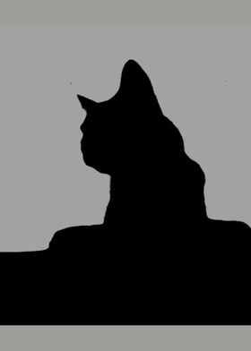 Black Cat Silhouette