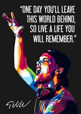 Avicii Quotes