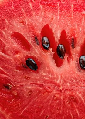 Watermelon Slice Close-up