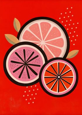 Bold Citrus Fruit Illustration in Red, Pink, and Orange