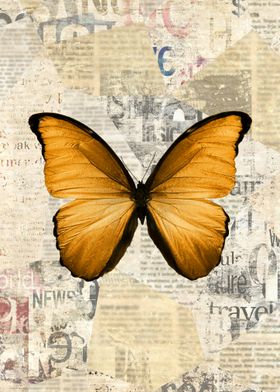 Golden Butterfly on Vintage Newspaper Collage