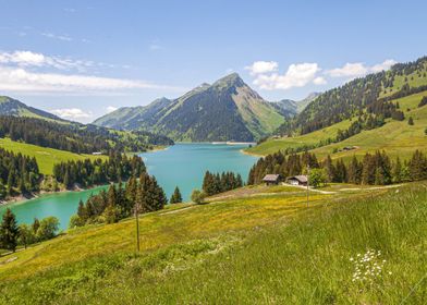 Mountain Lake Landscape