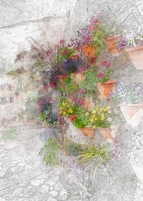 Flower Pots on a Wall