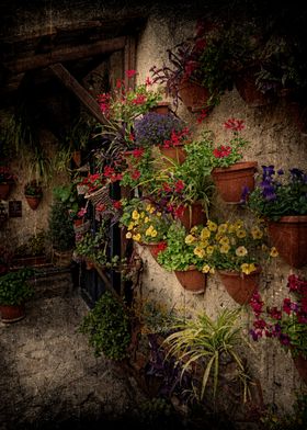 Flower Pots on Stone Wall