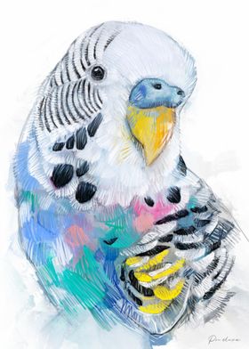 Colorful Budgie Portrait