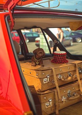 Dachshund Figurine on Suitcases