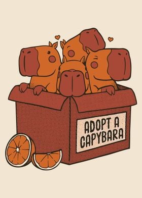 Adopt a Capybara