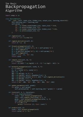 The Basic Backpropagation Algorithm