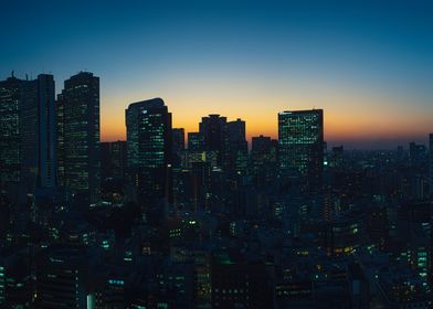 Tokyo Skyline at Dusk