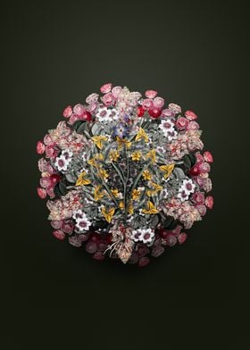 Ixia Secunda Wreath Floral Mandala Art