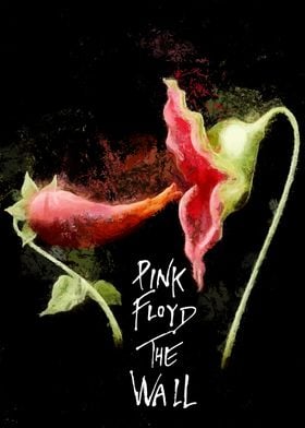 Pink Floyd The Wall Flower