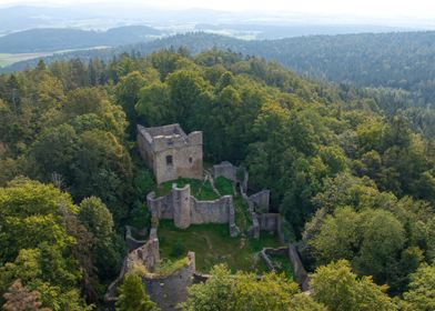 Ruined Castle in Forest