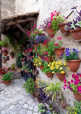 Flower-Filled Stone Courtyard