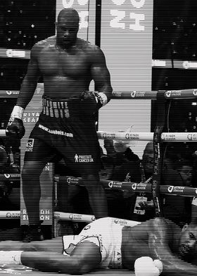 Daniel Dubois Knockout Anthony 