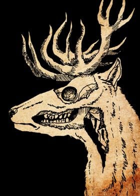 Skeletal Deer Skull