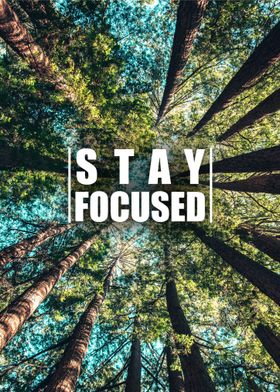 Stay Focused Forest