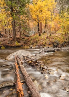 Autumn River Scene