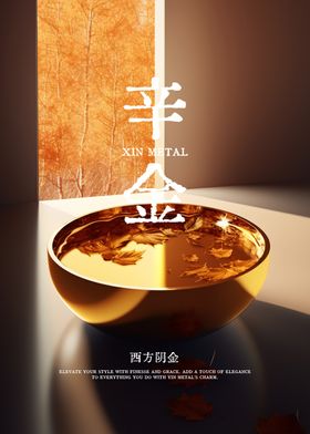 Xin Metal Bowl