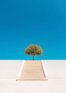 Tree on Stairs