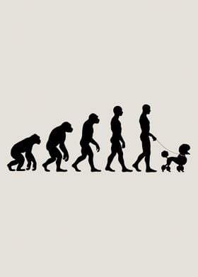 Evolution Poodle