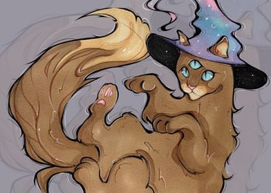 Cat Wizard with Galaxy Hat