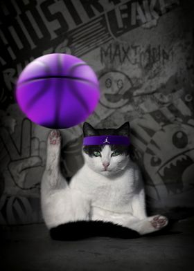 Cat with Basketball