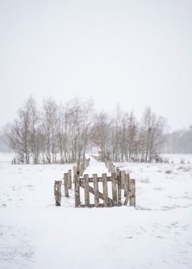 Snowy Path with Gate