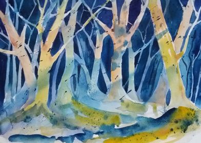 Watercolor Forest by Night