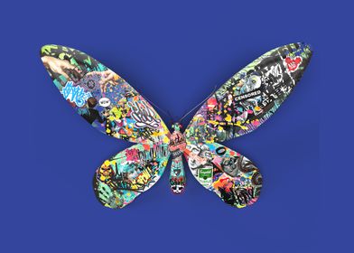 Graffiti Butterfly Art