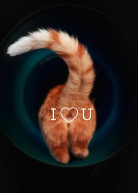 Cat Butt I Love You