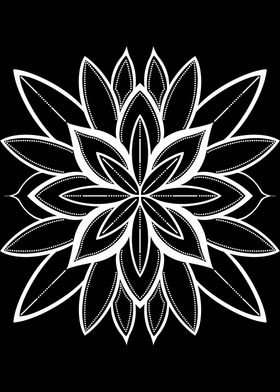 Black and White Waterlily Mandala