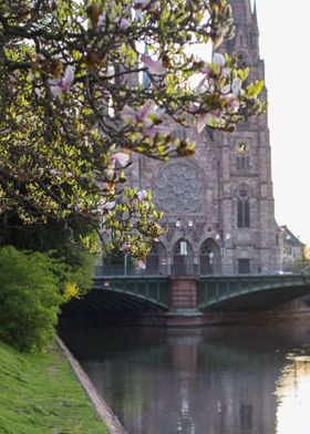 Church by the river, magnolia blossom, Saint Paul Church, Strasbourg, France