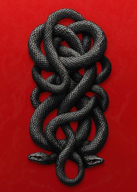 Black Snake Knot