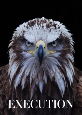 Eagle Close-Up