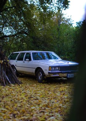 White Station Wagon in Autumn