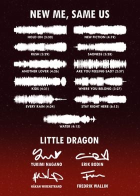 Little Dragon "New Me, Same Us" Album Soundwave Art