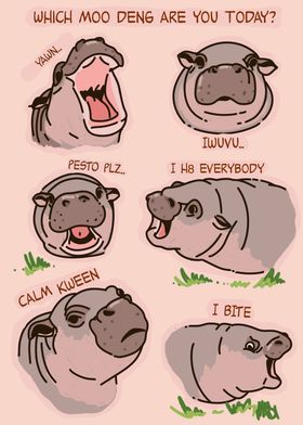 Moo Deng Funny Hippo Moods