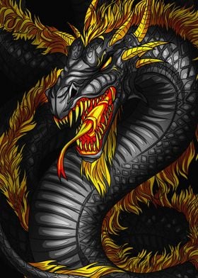 Fiery Dragon Illustration