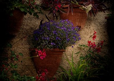 Purple Flowers on Wall