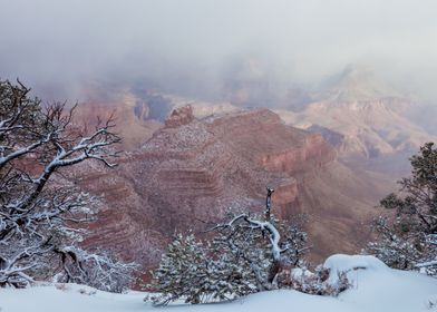 Snowy Grand Canyon