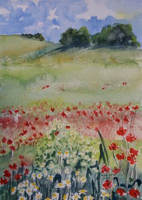 Watercolor Poppy Flower Field