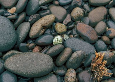 Sea Stones