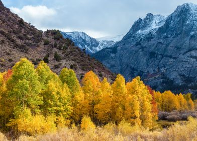 Autumn Mountain Landscape