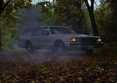 White Station Wagon in Forest