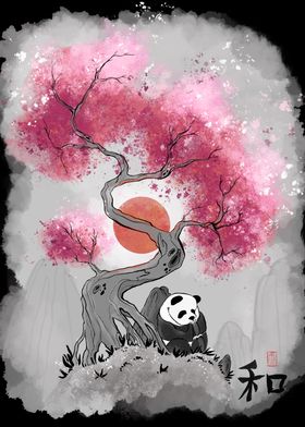 Panda Under Cherry Blossom