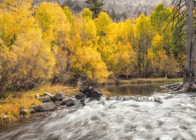 Autumn River Scene