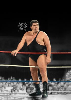 Andre the Giant Wrestling