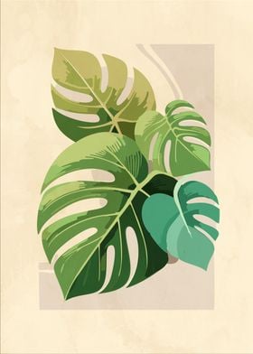 Monstera Leaves