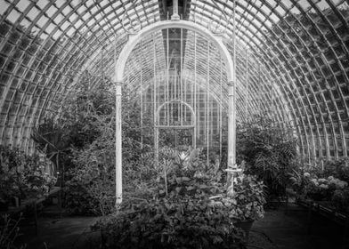 Greenhouse Interior